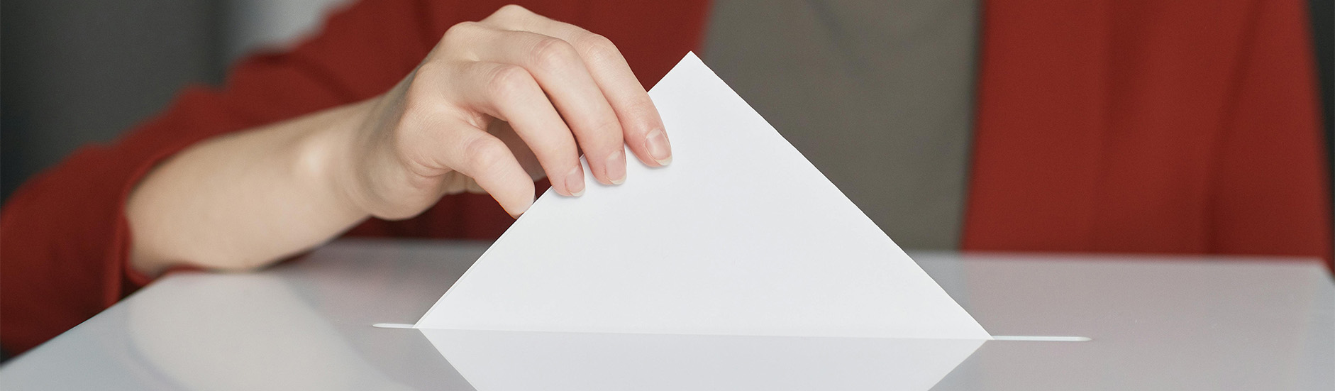 2025 Consolidated Election West Chicago Public Library District